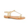 DELIA 36 41